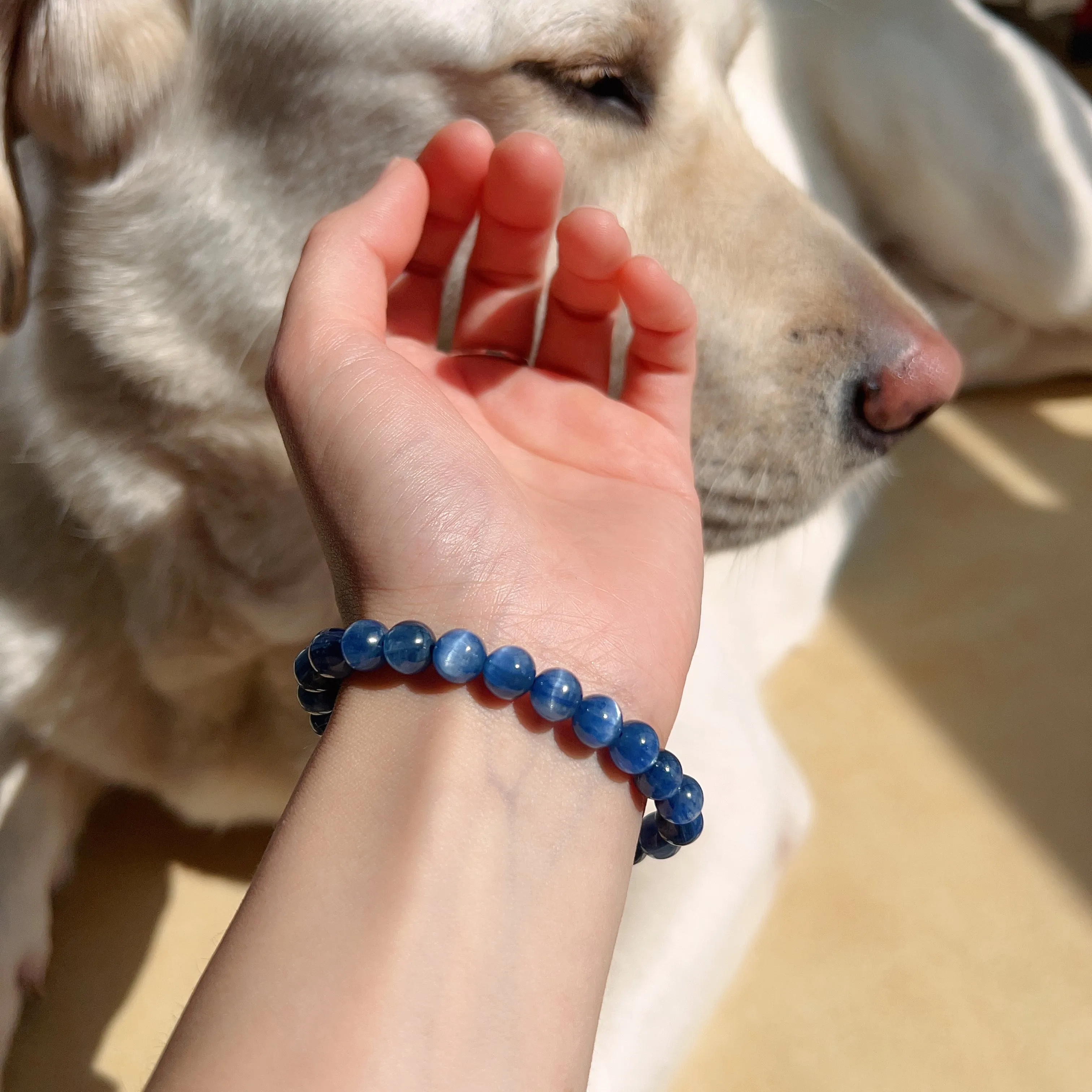 7.8mm Blue Kyanite Bracelet High-quality with Cat Eye Natural Healing Crystal Throat Chakra Third Chakra