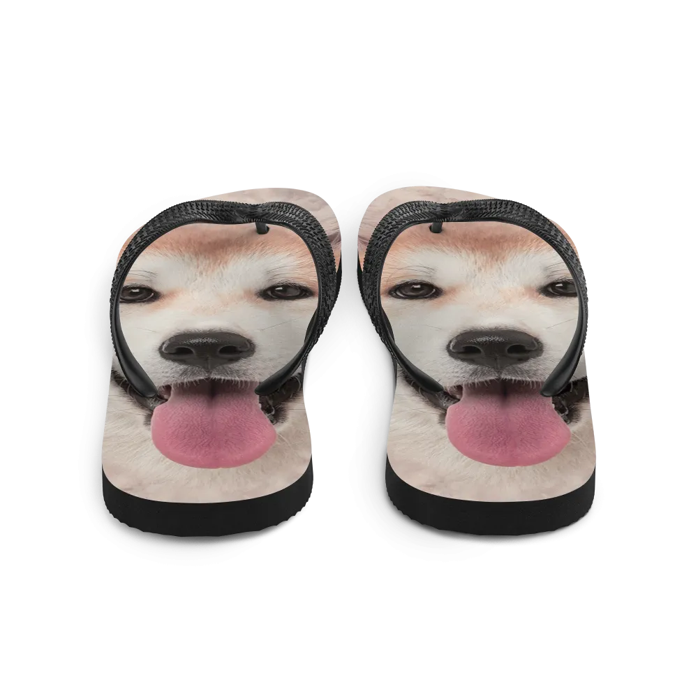 Akita Dog Flip-Flops