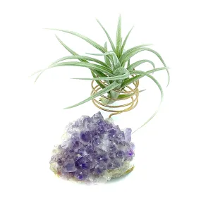 Amethyst Crystal Air Plant Holder   Plant