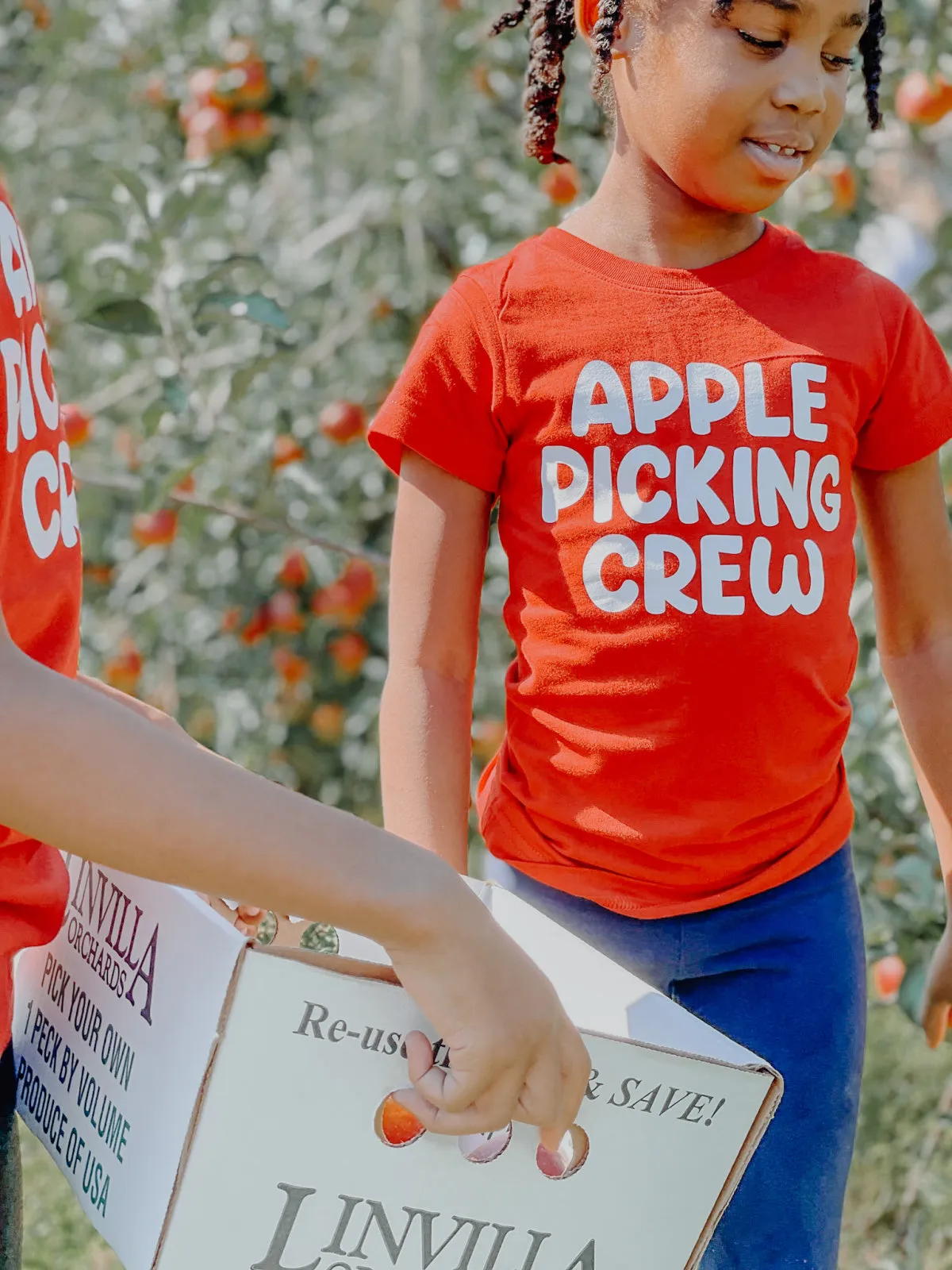 Apple Picking Crew Matching Family Shirts