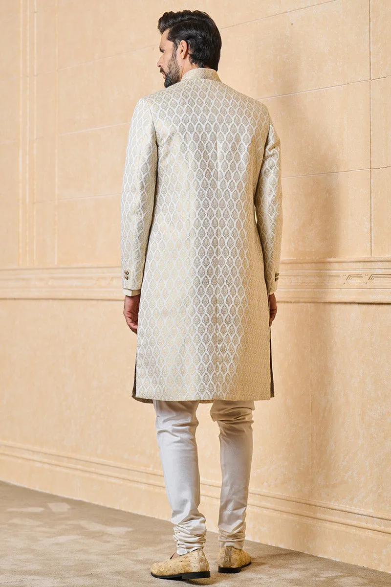 Classic brocade sherwani with collar embroidery