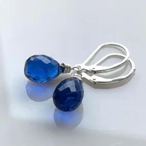 Just Perfect Cobalt Teardrop Danglers