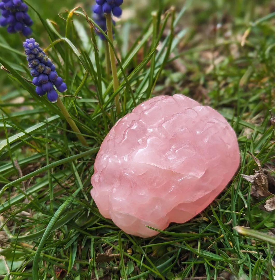 Rose Quartz Brain Carving ~ Perfect for Meditation and Studying ~ Sweet and Soothing Vibrations for Healing the Auric Field