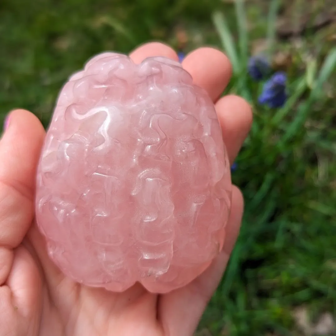 Rose Quartz Brain Carving ~ Perfect for Meditation and Studying ~ Sweet and Soothing Vibrations for Healing the Auric Field