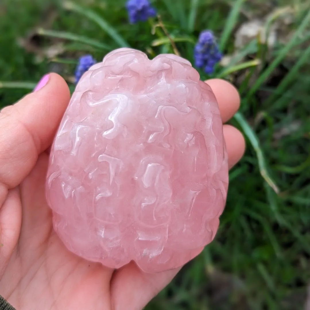 Rose Quartz Brain Carving ~ Perfect for Meditation and Studying ~ Sweet and Soothing Vibrations for Healing the Auric Field